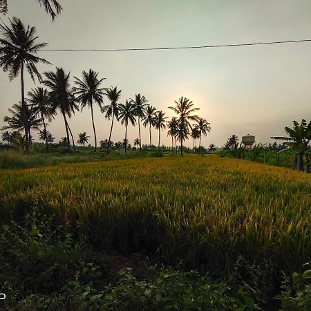 Srinivasa Homestay Hampi Exterior photo